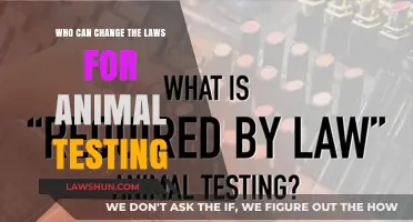 Ending Animal Testing: Who Can Change Laws?