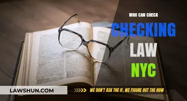 Checking Laws: Who Can Enforce Them in NYC?