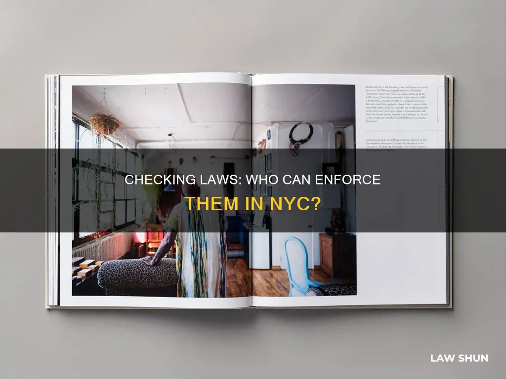 who can check checking law nyc