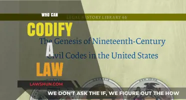 Codifying Laws: Who Holds the Power?