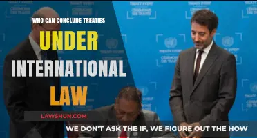 Treaty Conclusion: Who Has the Power?