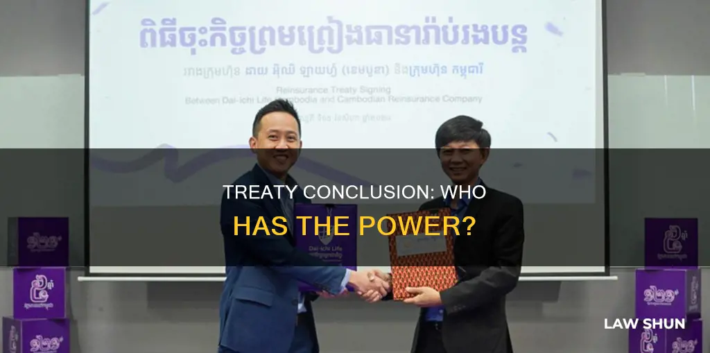 who can conclude treaties under international law