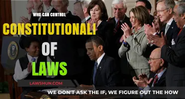 The Supreme Court: Our Laws' Ultimate Gatekeeper