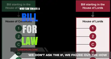 Creating a Bill: Who Can Do It?