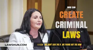 Creating Criminal Laws: Who Has the Power?