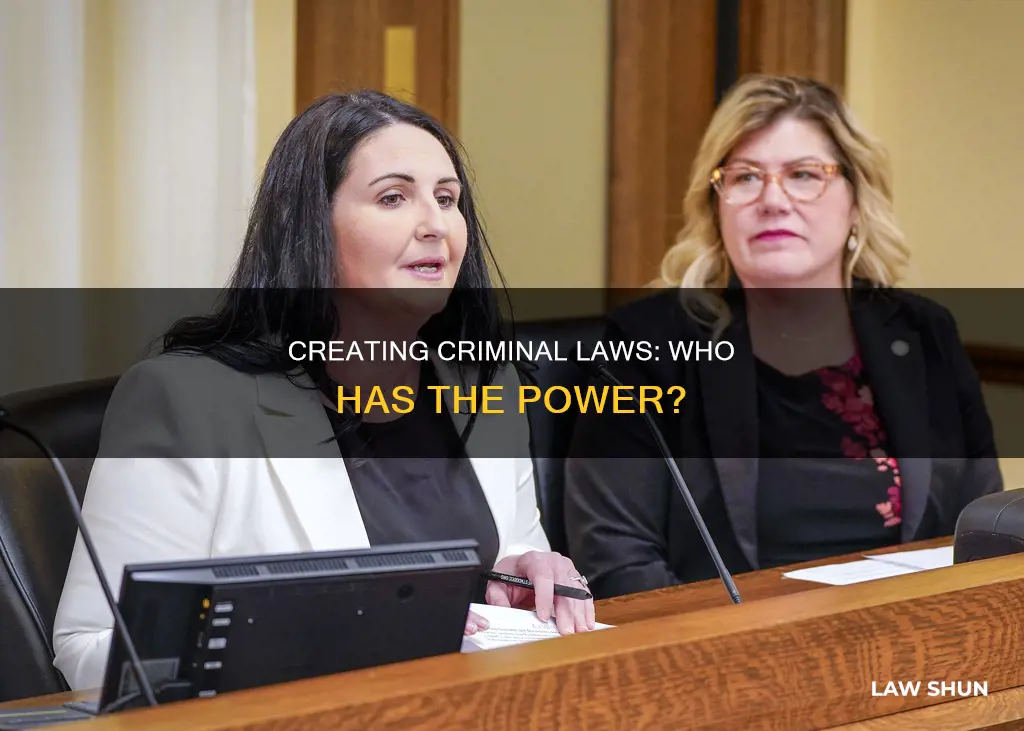who can create criminal laws