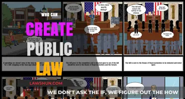 Creating Public Law: Who Has the Power?