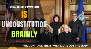 The Supreme Court: Deciding a Law's Fate