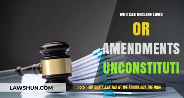 Who Can Overturn Laws and Amendments?