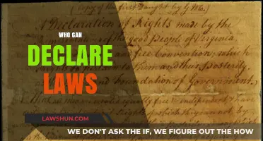 Who Declares the Law?
