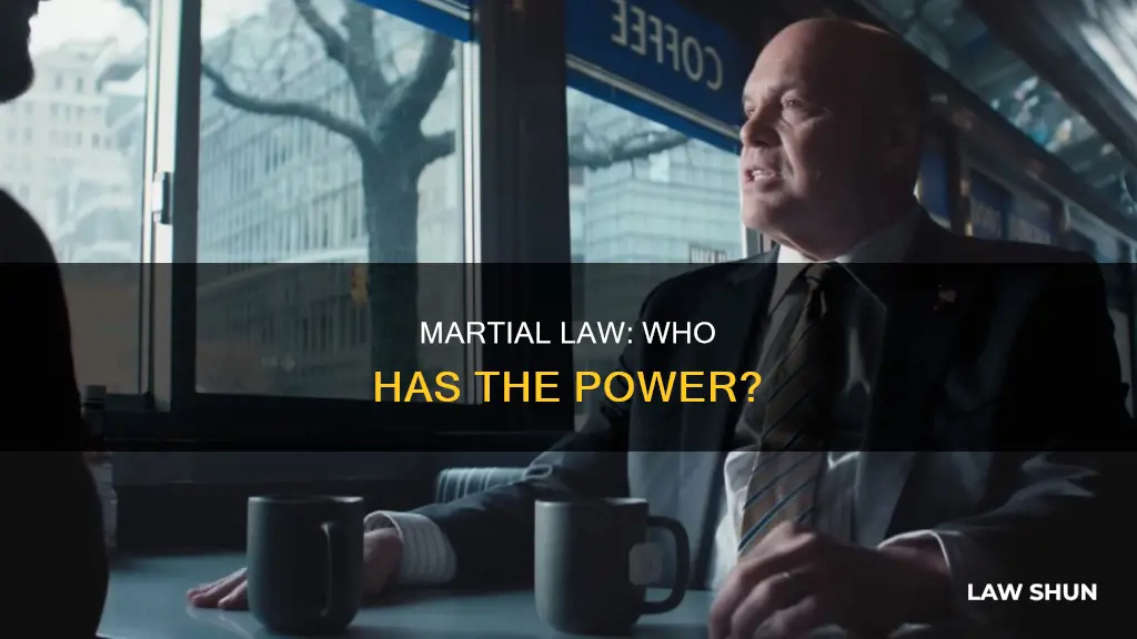 who can declare martial law in a state