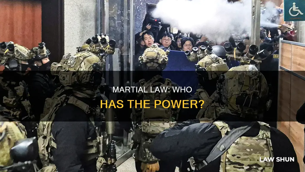 who can declare martial law in america