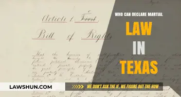 Martial Law in Texas: Who Has the Power?