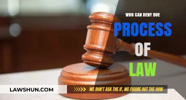 Due Process: Who Can Deny Your Rights?