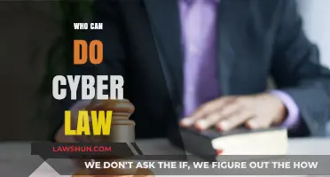 Cyber Law: Who Can Navigate the Digital Maze?