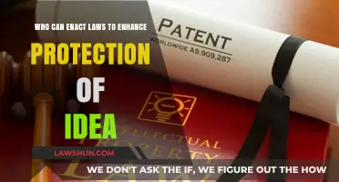 Protecting Your Ideas: Who Can Enact Laws?