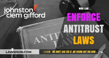 Antitrust Laws: Who Can Enforce Them?