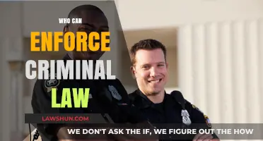 Criminal Law Enforcement: Who Has the Power?