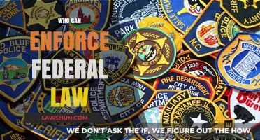Federal Law Enforcement: Who Has the Authority?