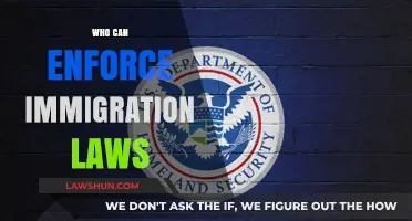 Immigration Laws: Who Has the Authority?