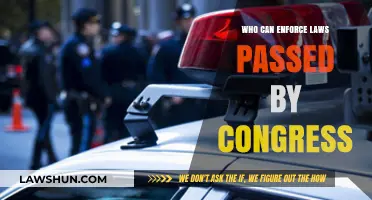 Enforcing the Law: Who Has the Power?