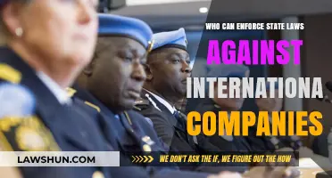 Enforcing State Laws: International Companies and Legal Boundaries