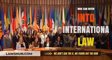 International Law: Who Can Participate?