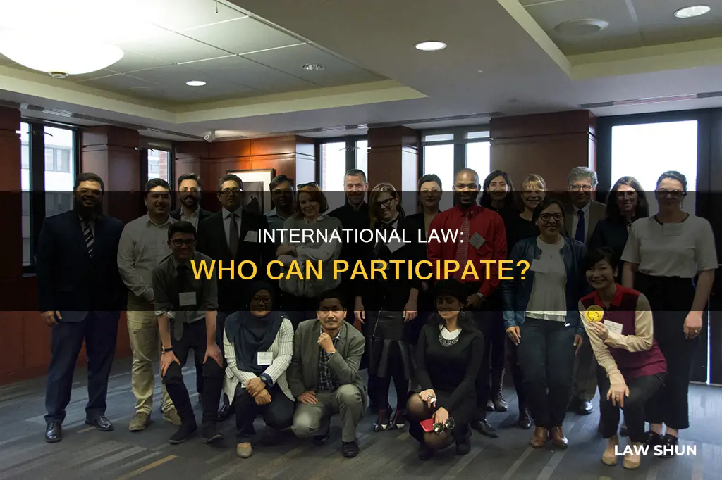 who can enter into international law