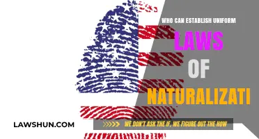 Naturalization Laws: Who Decides?