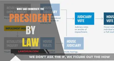 The Law: Who Can Exonerate the President?