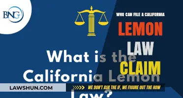 California Lemon Law: Who Can File a Claim?