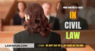 Civil Law: Who Can File a Case?