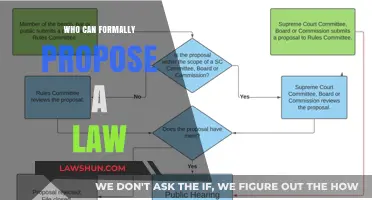 Who Proposes Laws? Understanding the Process