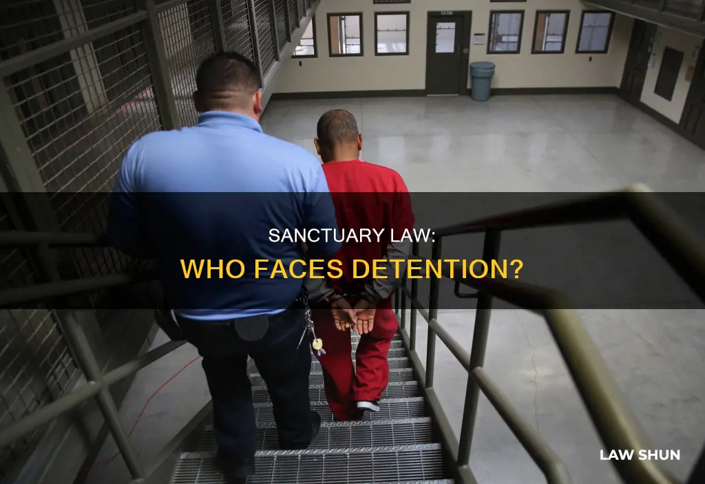 who can get detained under sanctuary law