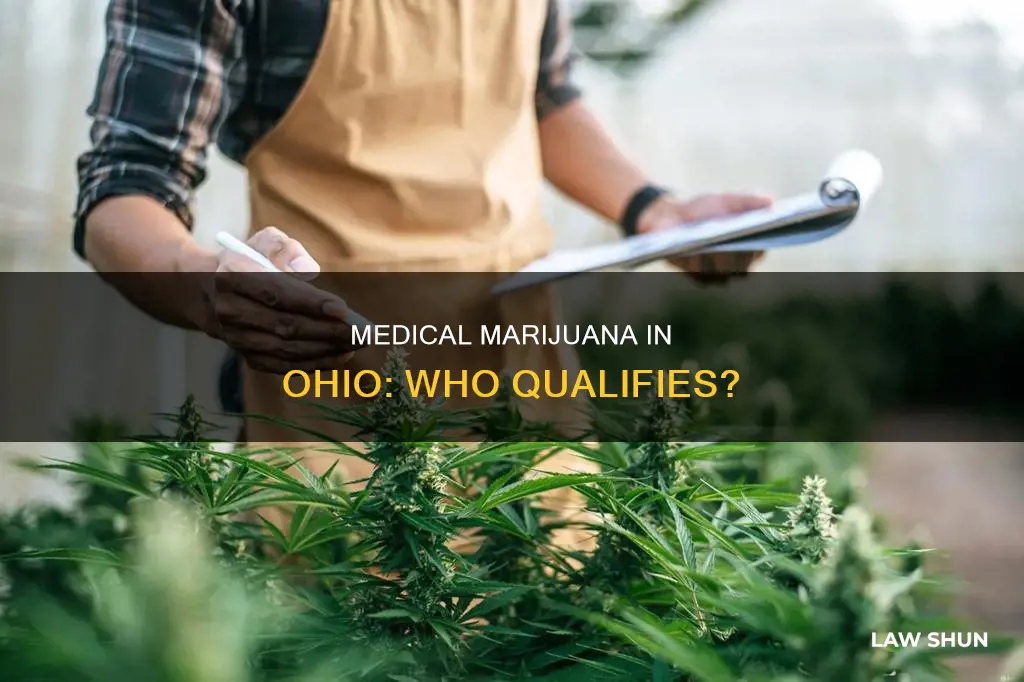 who can get pot with medical laws in ohio