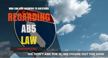Answers to Your AB5 Law Queries