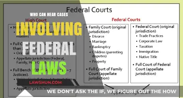 Federal Law Cases: Who Hears Them?