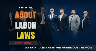Asking About Labor Laws? Talk to These People