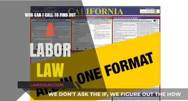 Where to Turn for Labor Law Information