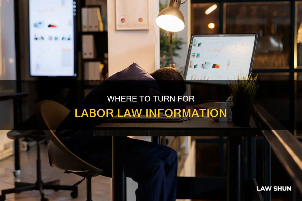 who can i call to find out a labor law
