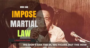 Martial Law: Who Has the Power to Impose It?