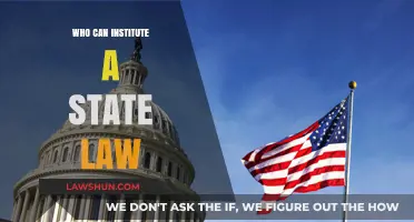 State Law: Who Can Institute It?