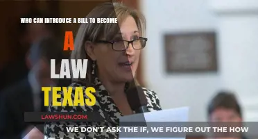 Introducing Bills in Texas: Who Can Do It?