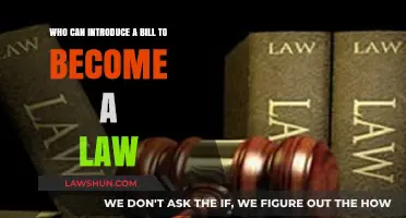 How a Bill Becomes a Law