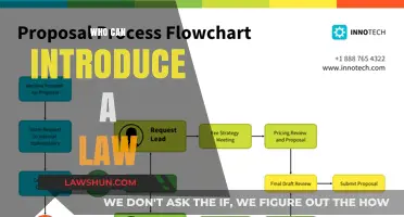 Introducing Laws: Who Has the Power?