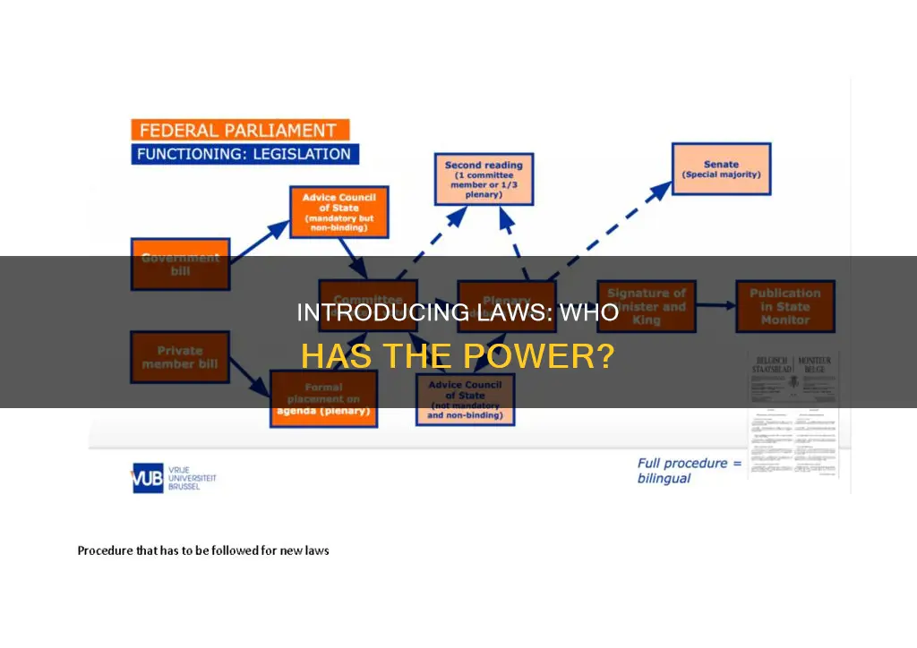 who can introduce a law