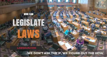 Legislative Power: Who Makes the Laws?