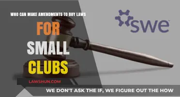 Small Clubs: Who Holds the Power to Change Bylaws?