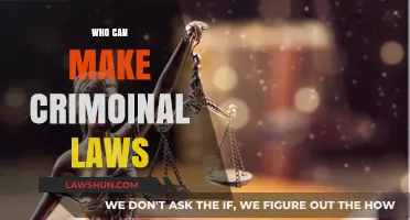 The Power to Create Criminal Laws