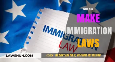 Immigration Laws: Who Has the Power to Legislate?
